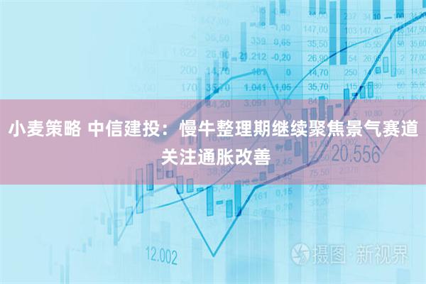 小麦策略 中信建投：慢牛整理期继续聚焦景气赛道 关注通胀改善