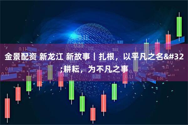 金景配资 新龙江 新故事｜扎根，以平凡之名 耕耘，为不凡之事