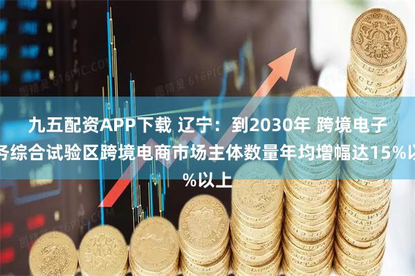 九五配资APP下载 辽宁：到2030年 跨境电子商务综合试验区跨境电商市场主体数量年均增幅达15%以上